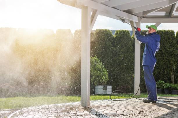 Best Building Exterior Washing  in Mount Morris, IL