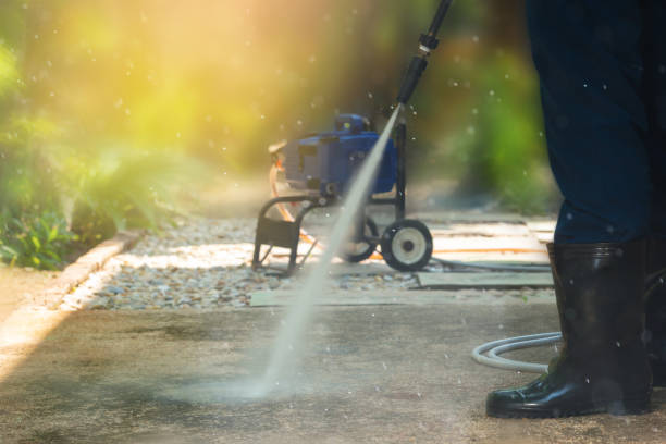 Best Gutter Cleaning  in Mount Morris, IL